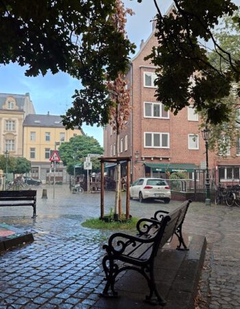 Schwan Restaurant Düsseldorf Altstadt